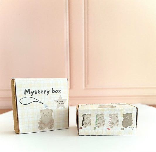 Mystery Box-Biscuit Ourson